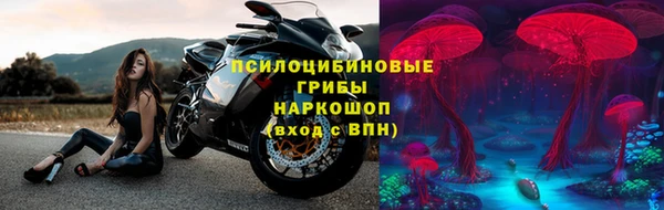 стаф Алексеевка
