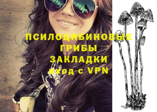 стаф Алексеевка