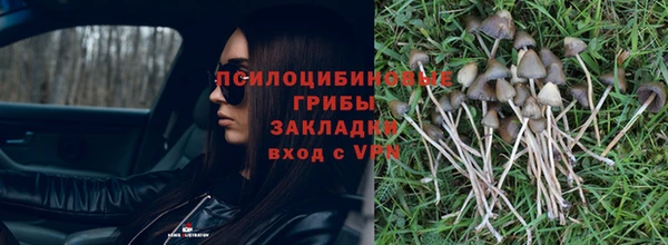 стаф Алексеевка